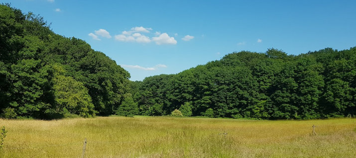 Ouverture d'un terrain de 10ha à Lasne